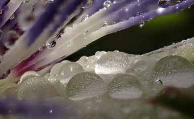 P1124697a.jpg